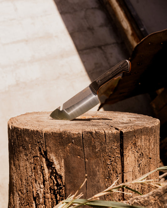 Who We Are: Hear Our Story